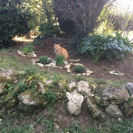 La Tuilerie Villa Vic-Fezensac Bagian luar foto