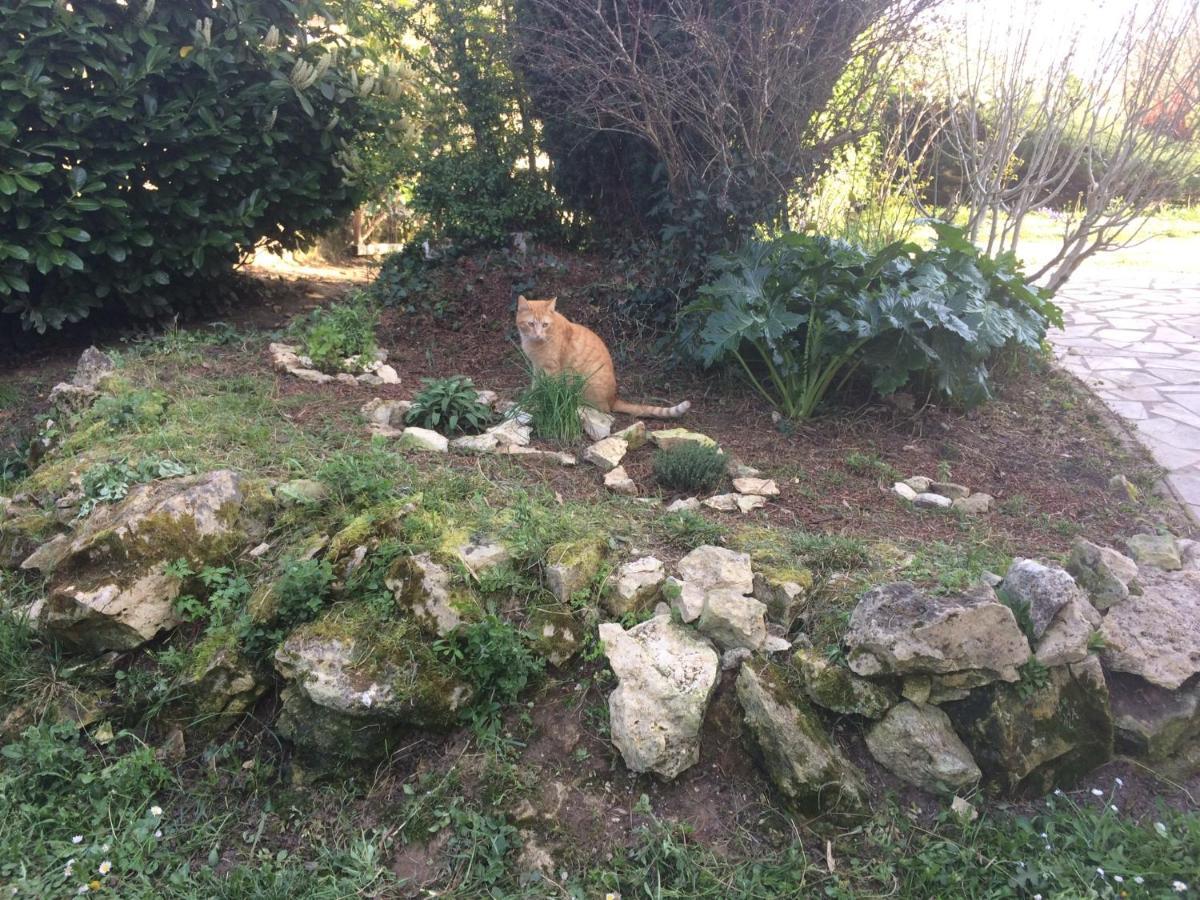 La Tuilerie Villa Vic-Fezensac Bagian luar foto